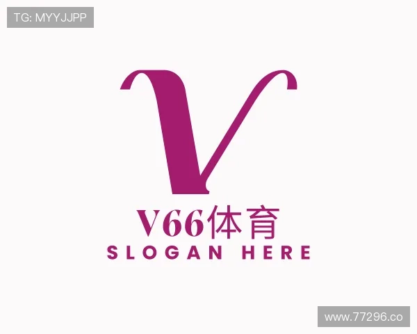 导引V66体育